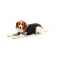 BUSTER BODY SUIT EASYGO FOR DOGS STR.M