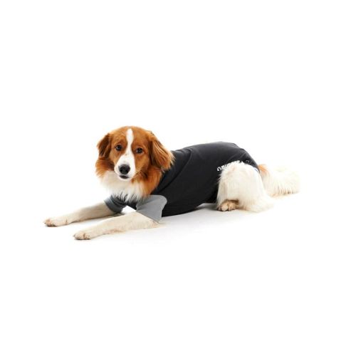 BUSTER BODY SUIT EASYGO FOR DOGS STR.M