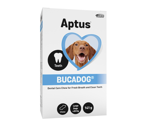 APTUS BUCADOG DENTAL CHEW 