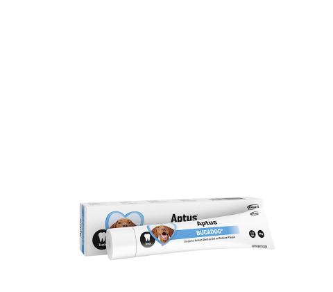 APTUS BUCADOG DENTAL GEL 70g