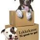 Lykkekasse/ Too good to go til hunde