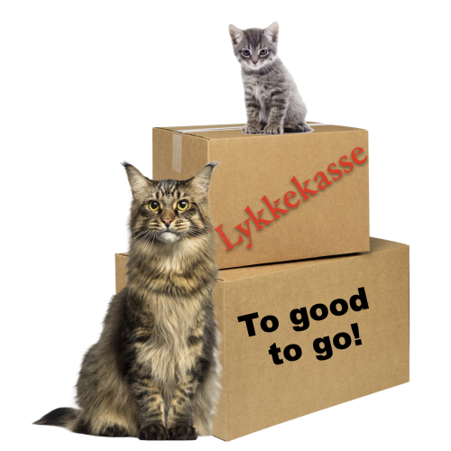 Lykkekasse/ Too good to go til kat