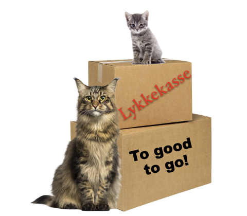 Lykkekasse/ Too good to go til kat